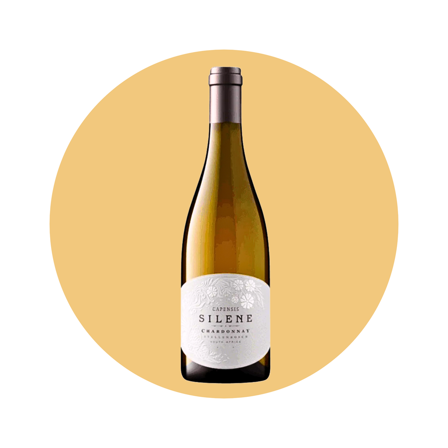 Capensis - Silene 'Chardonnay' 2020