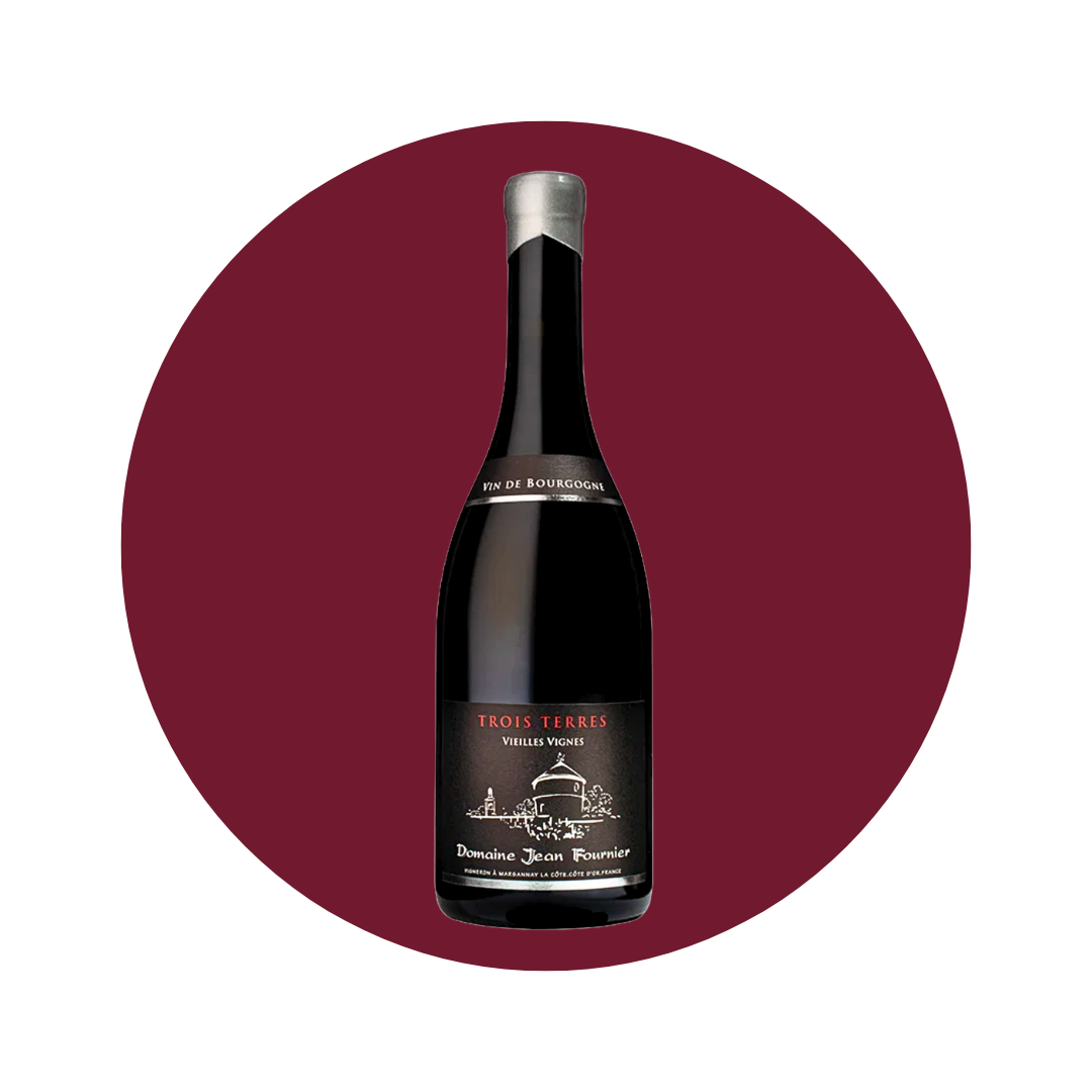 Domaine Jean Fournier - Trois Terres VV 2023