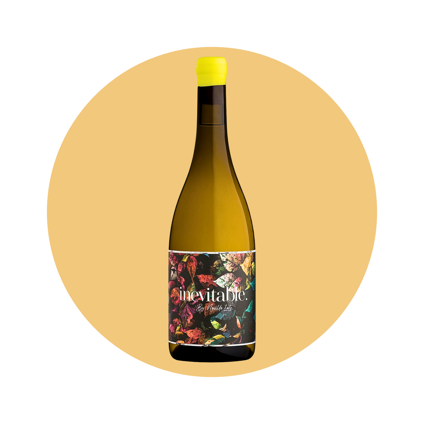 Inevitable - Old Vine Chenin Blanc 2023